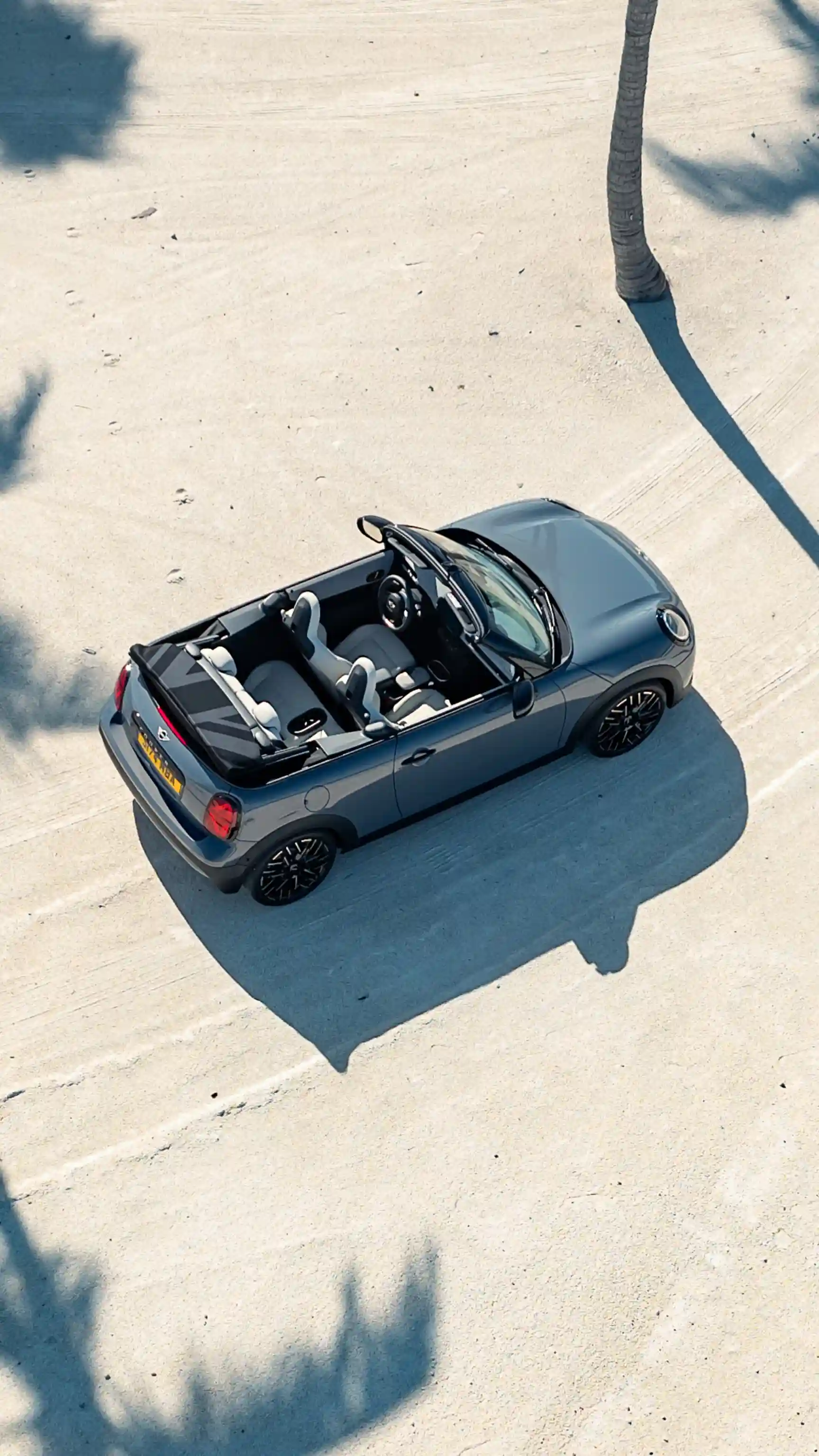 MINI Cooper Cabrio - Palme