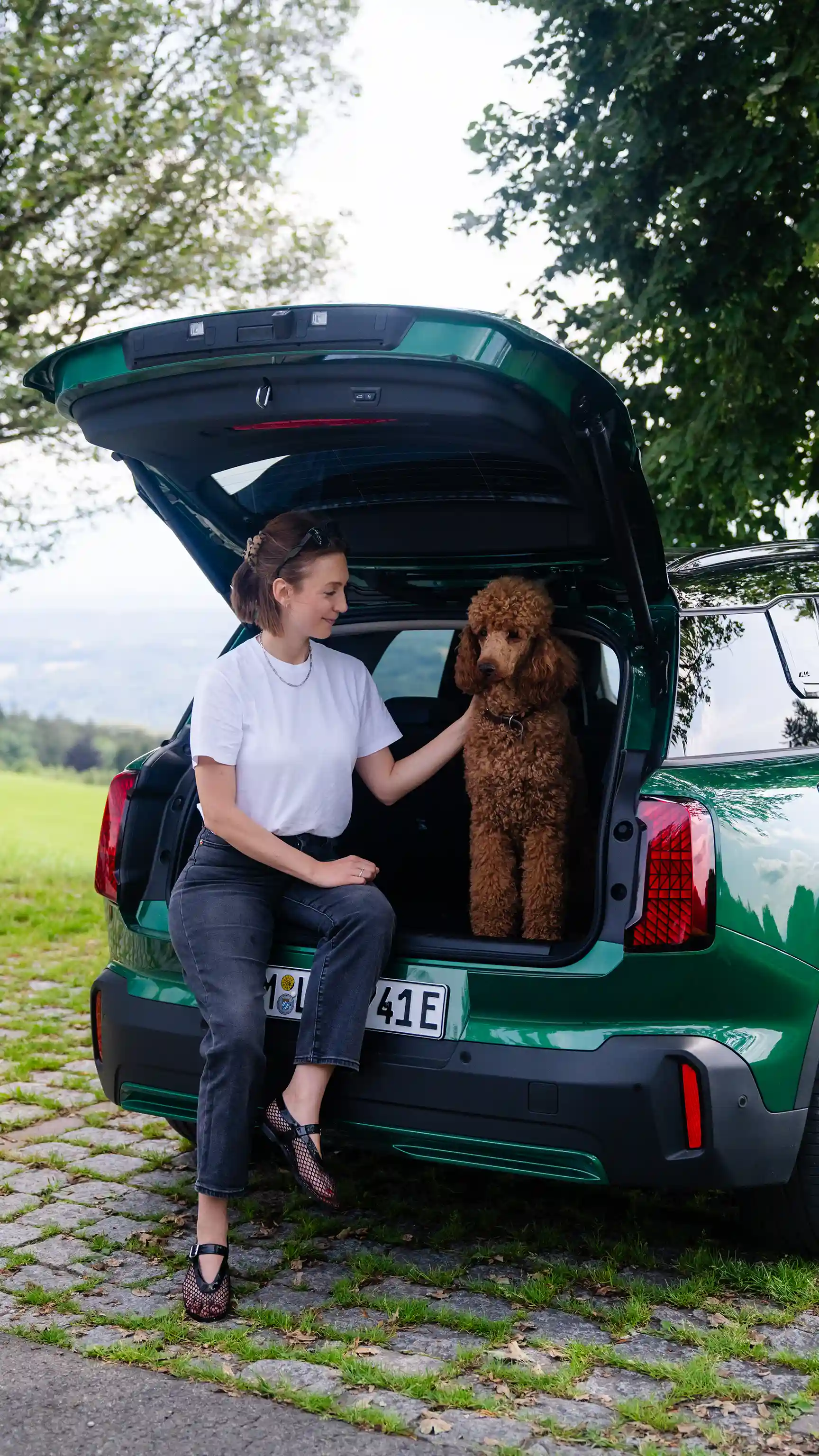 All-Electric MINI Countryman - Cane nel baule