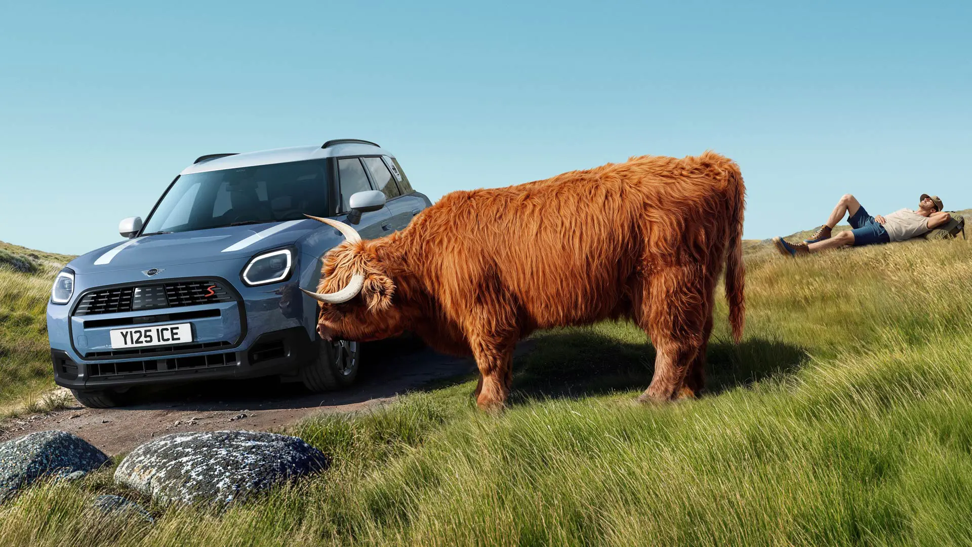 Un MINI Countryman passe devant une vache qui broute paisiblement à proximité. Grâce à Proactive Care, nous gérons les soucis, vous conduisez.