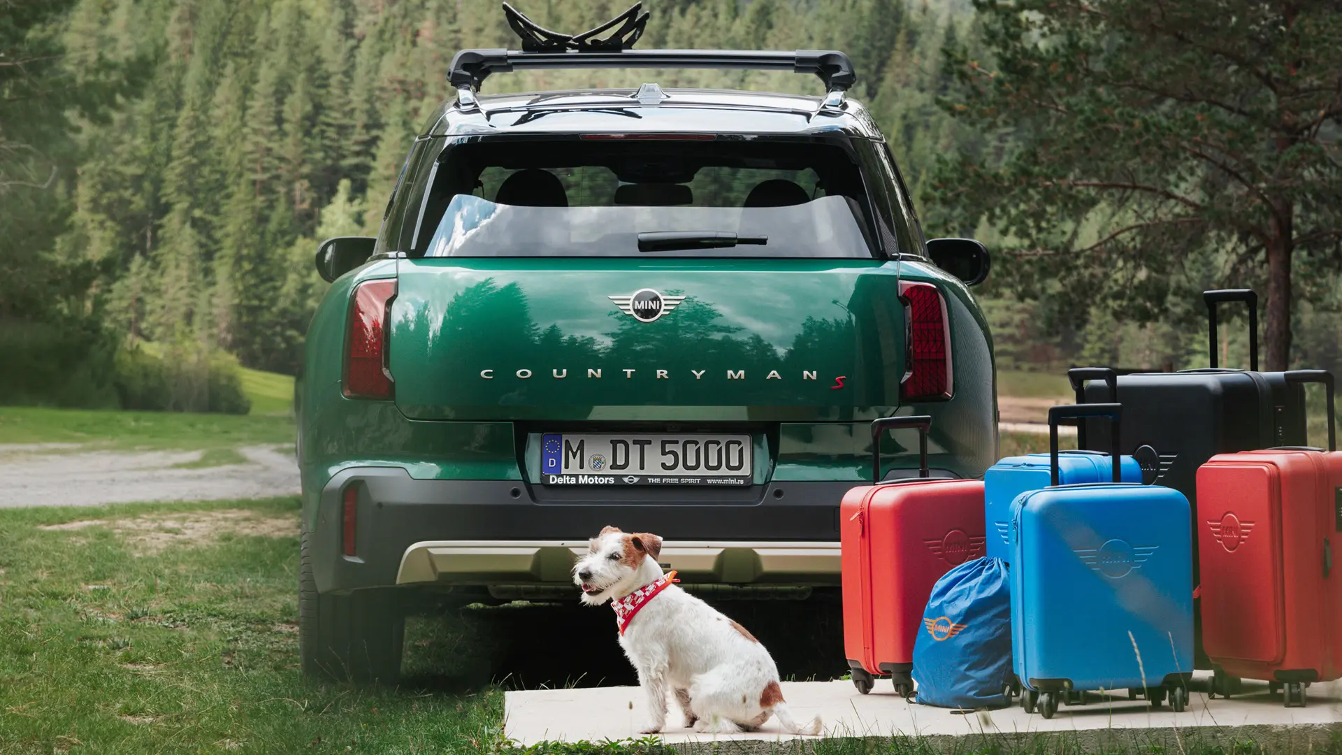 MINI Countryman in verde con diversi articoli per bagagli disponibili presso il MINI Lifestyle Store dietro la vettura insieme a un cane Jack Russell. 