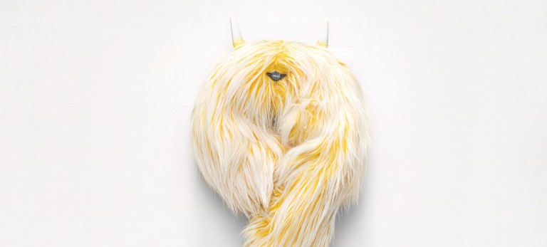 MINI/projet de design de volant/extrait/Cuddlytoy