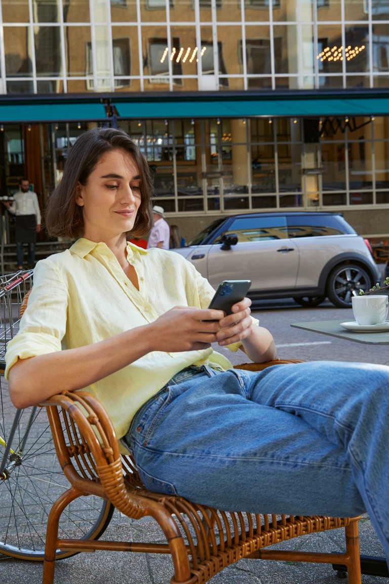 MINI Financial Services – Guida alla restituzione – Danni da riparare